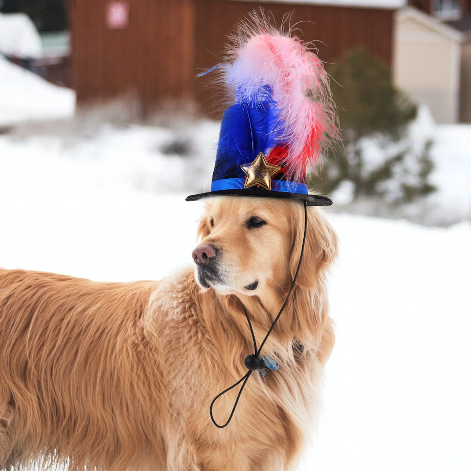 

Party Pet Headdress Lightweight Comfortable Independence Day Dog Cat Costume Hat Headband Accessory Pet Cosplay Festival