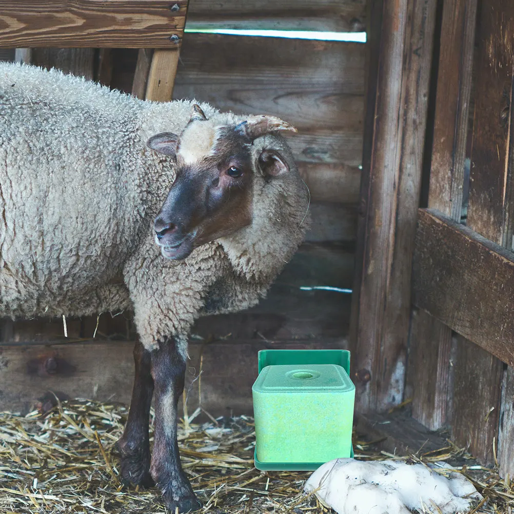 

2 Pcs Salt Brick Box Animal Cow Bricks Feed Garlic Block for Cattle Holder Feeders Pp Holders Wildlife Mineral