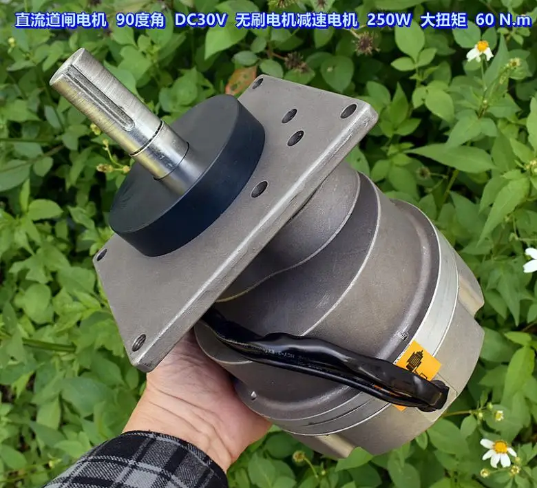 DC barrier 90 degree angle, brushless geared motor 250W high power 60Nm