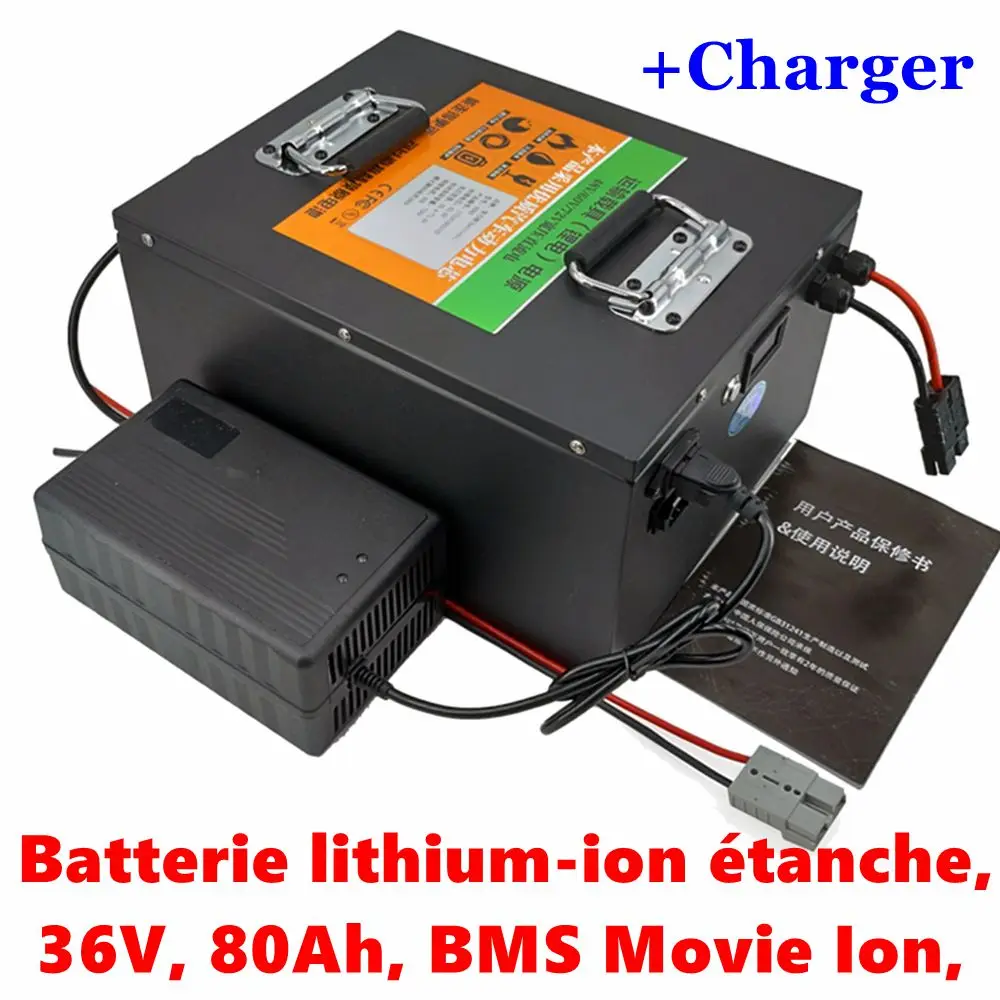 Batterie lithium-ion étanche, 36V, 80Ah, BMS Movie Ion, vélo, scooter, bateau, tricycle EV, Sicile, chargeur 5A, 2000W, 1500