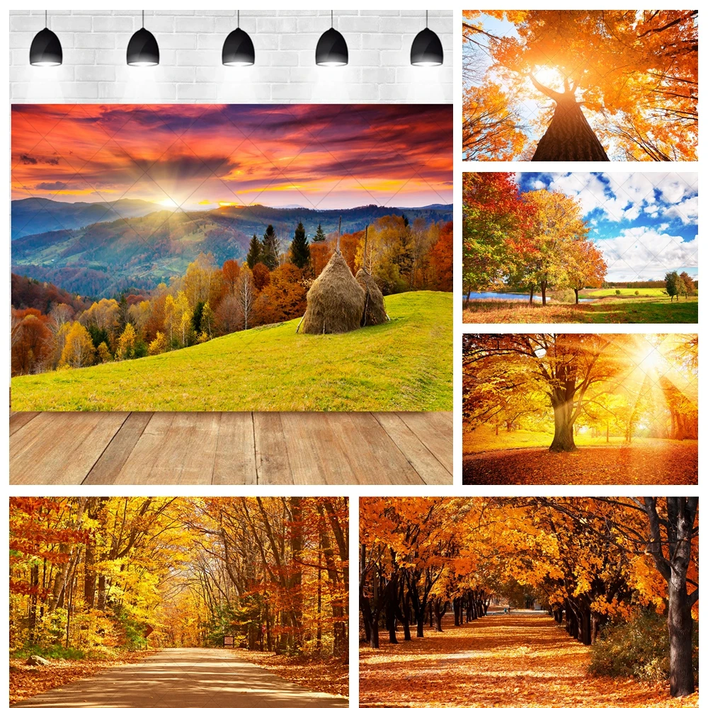 

Autumn Sunset Golden Fallen Leaves Wedding Party Banner Backdrop Custom Adult Kids Room Photography Wall Poster Decor Background