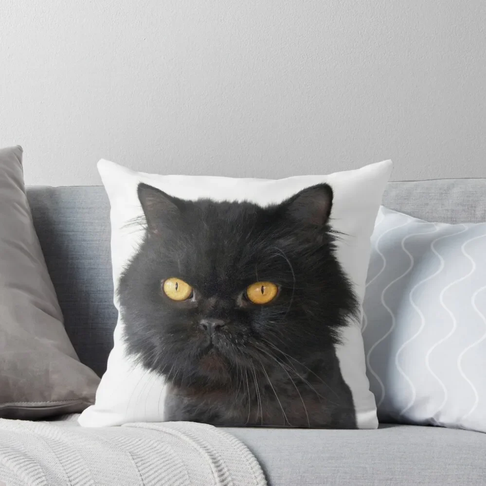 

Black Persian Cat with Yellow Eyes Throw Pillow luxury home accessories Sofa Cushions Covers pillow