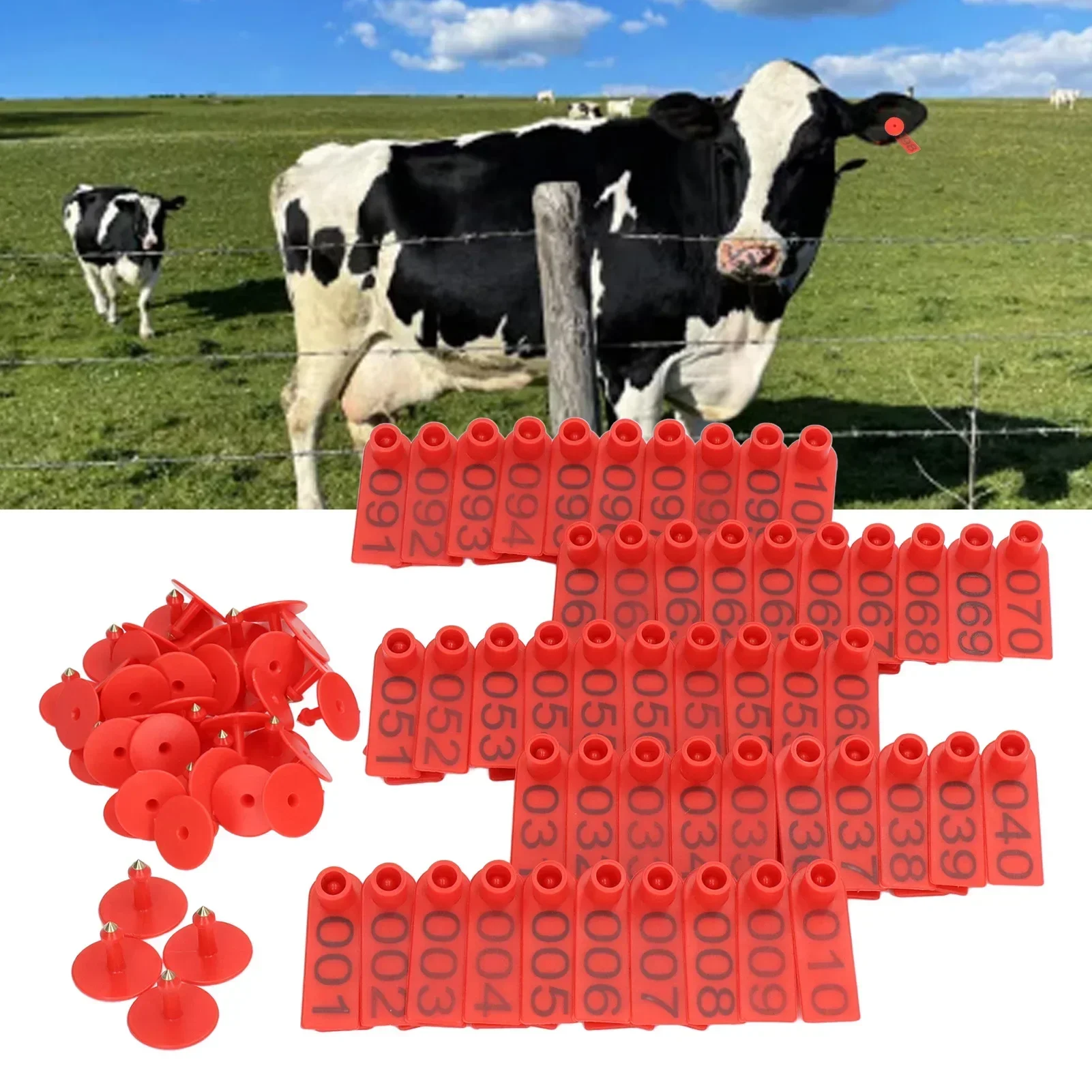 100Sets Numbered Cattle Ear Tags Accurate Livestock Identification Card For Cow Pig Sheep