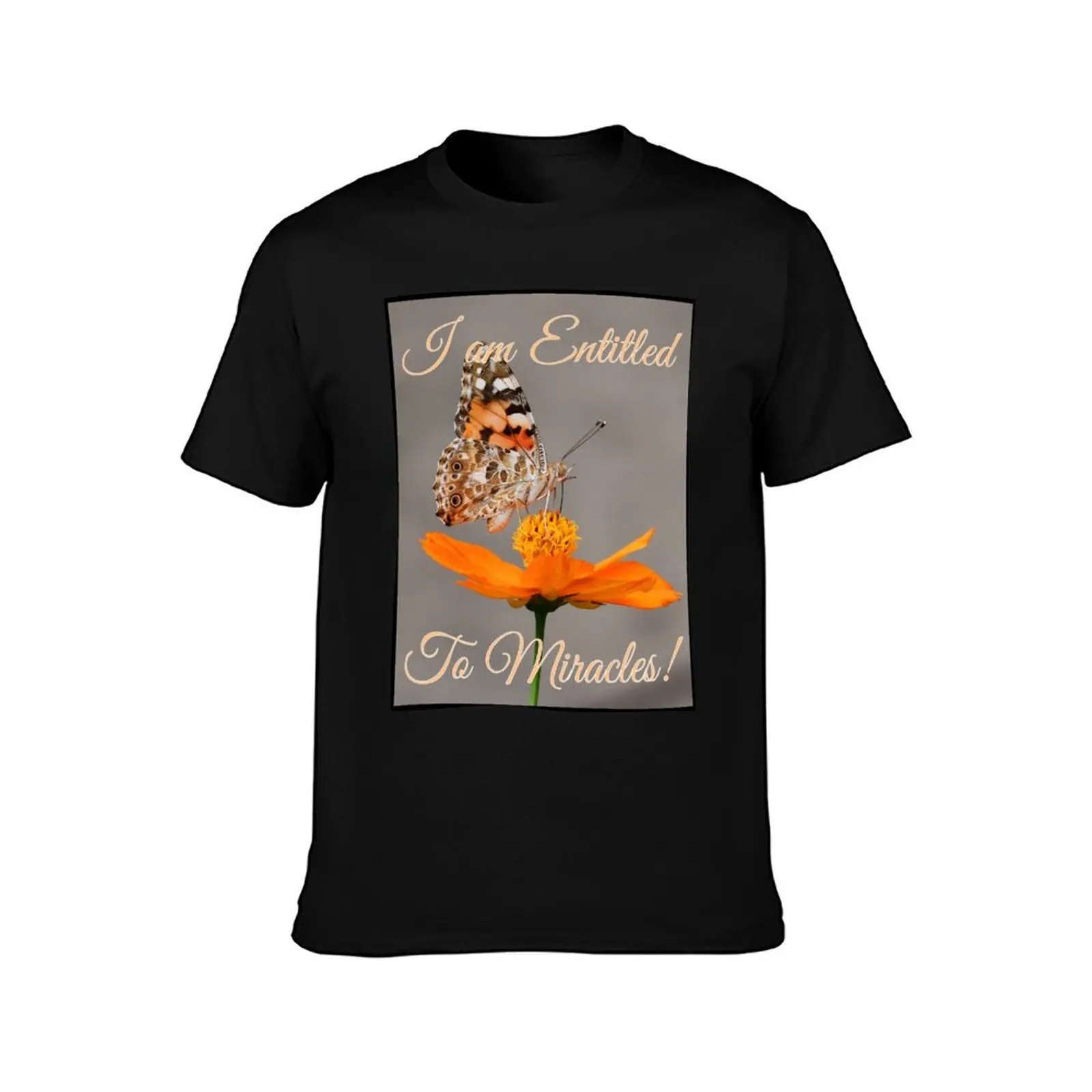 Entitled to miracles butterfly 2 T-Shirt Dry Fit Running Short Sleeve Top T-Shirt