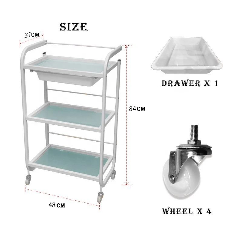 SPA troli Salon kecantikan rak plastik