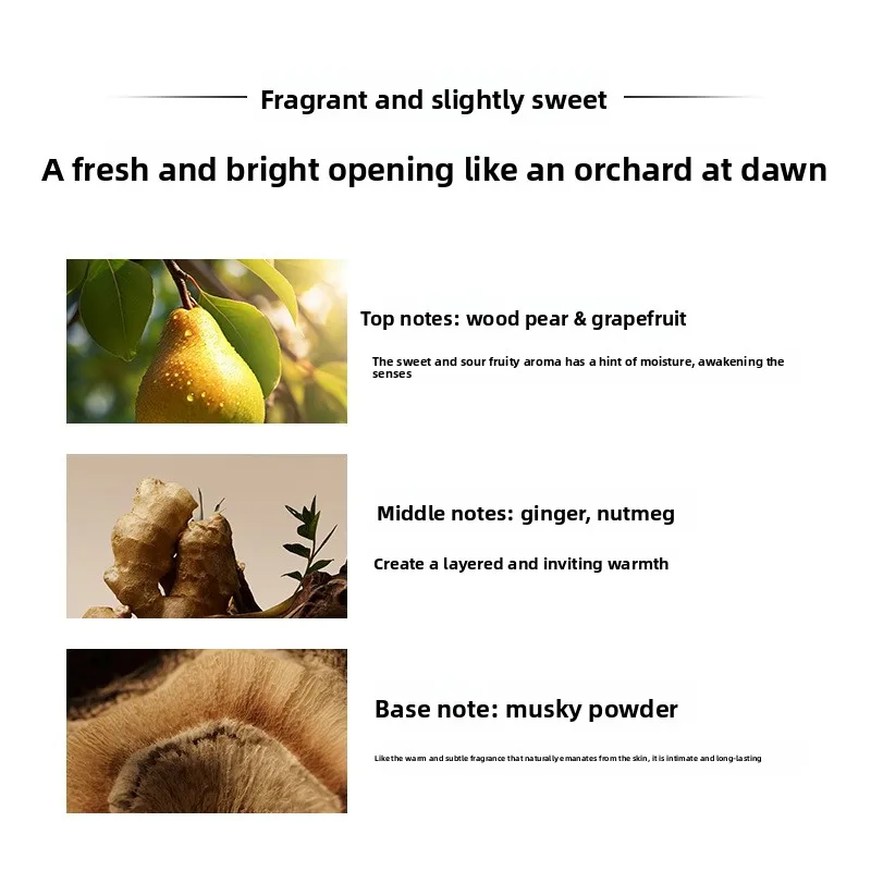 Exotic Exotic Parfum Wood Cedar Patchouli Fragrance For Gift&Dating Exotic Allure long-lasting Premium Mens Cologne