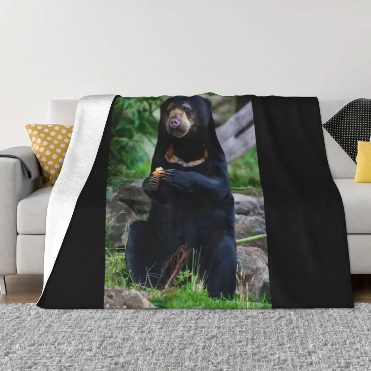 Malayan Sun Bear Contemplating Throw Blanket Sleeping Bag Summer Beddings decorative Winter beds Blankets