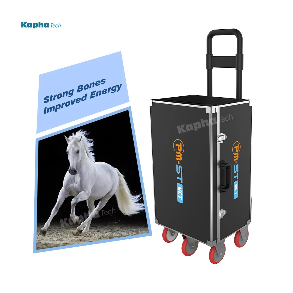 High Intensity Equine Pemf Therapy Animals Physio Magneto Device with 4Tesla