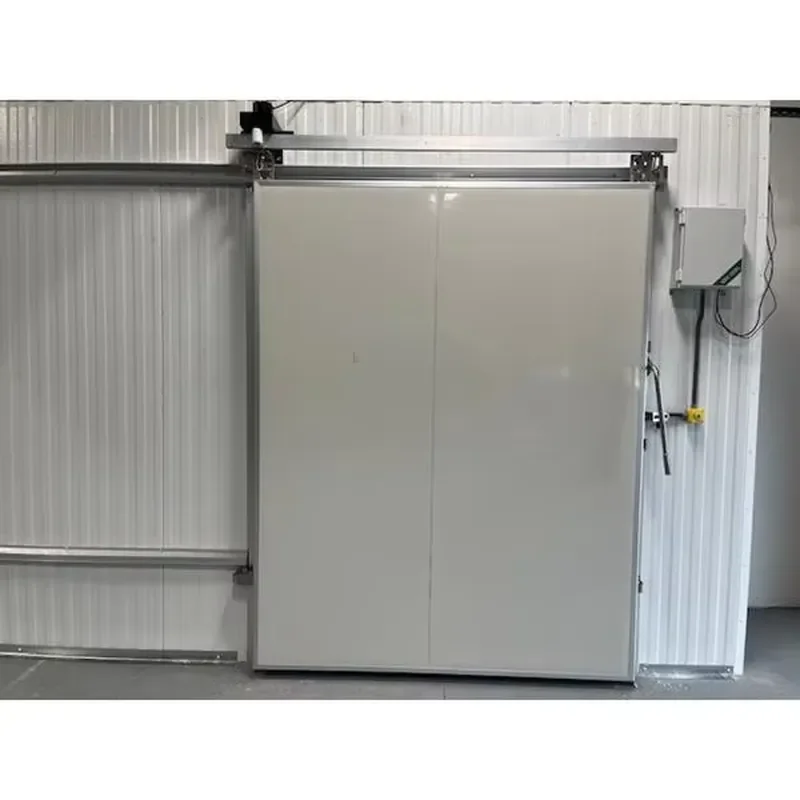 Modern Design Walk-in Freezer Sliding Door Polymer Hinged Thermal Insulation Steel Frame Outdoor Workshop Cold Storage Room
