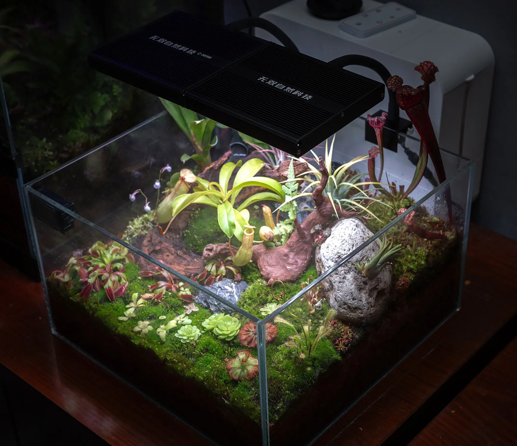 

C-mini aquatic lamp reflective cup ultra-high light efficiency RRGBW spectrum water and land succulent moss grass tank aquarium