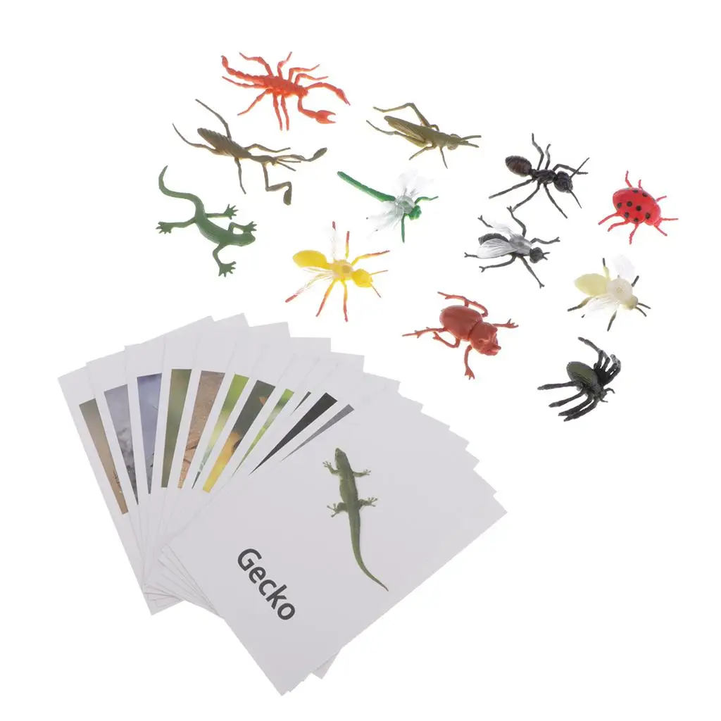 

Play Toy Mini Artificial Insects with Cards Printed Animals Toy