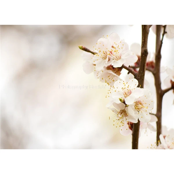 ZHISUXI 맞춤형 비닐 사진 배경, 크리스마스 날 테마 사진 배경 DST-1102