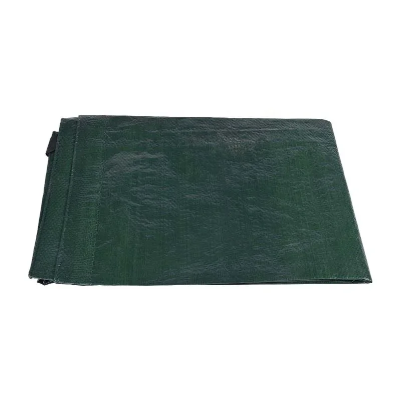 

【From China】Green 100Gsm PE Tarpaulin Plain Roof Cover Waterproof Tarpaulin