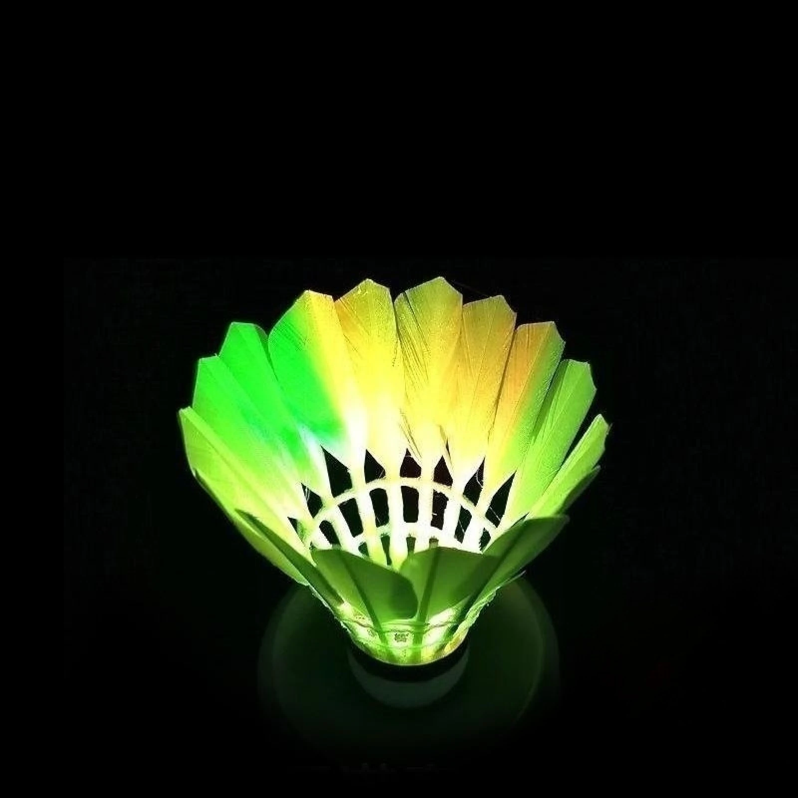 4 pezzi Dark Night Glow Colorful LED volani piuma d'oca volano illuminazione a LED palla da Badminton accessori per sport all'aria aperta