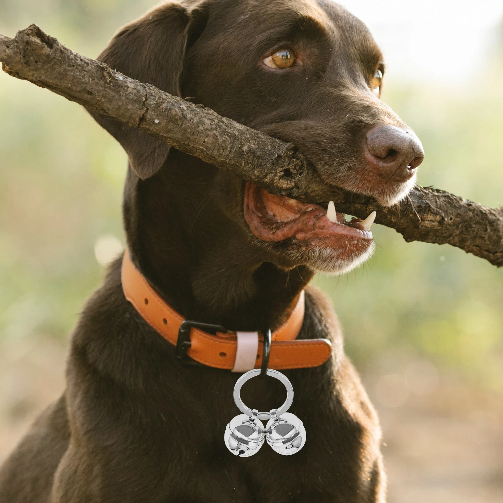 

Pet Collar Bells Nickel Dog Supplies Durable Crafted Key Chain Accessories Birthday Wedding Photo