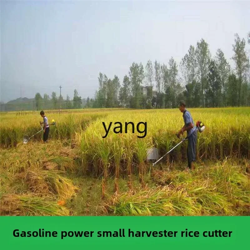 LTT two-punch four-stroke rice mower side hanging and carrying small brush cutter lawn mower