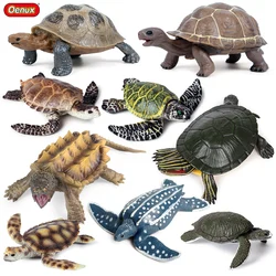 Oenux Simulation Ocean Animals Turtle Alligator Snapper Model Action Figures Sealife Figurines Home Decoration Kid Education Toy