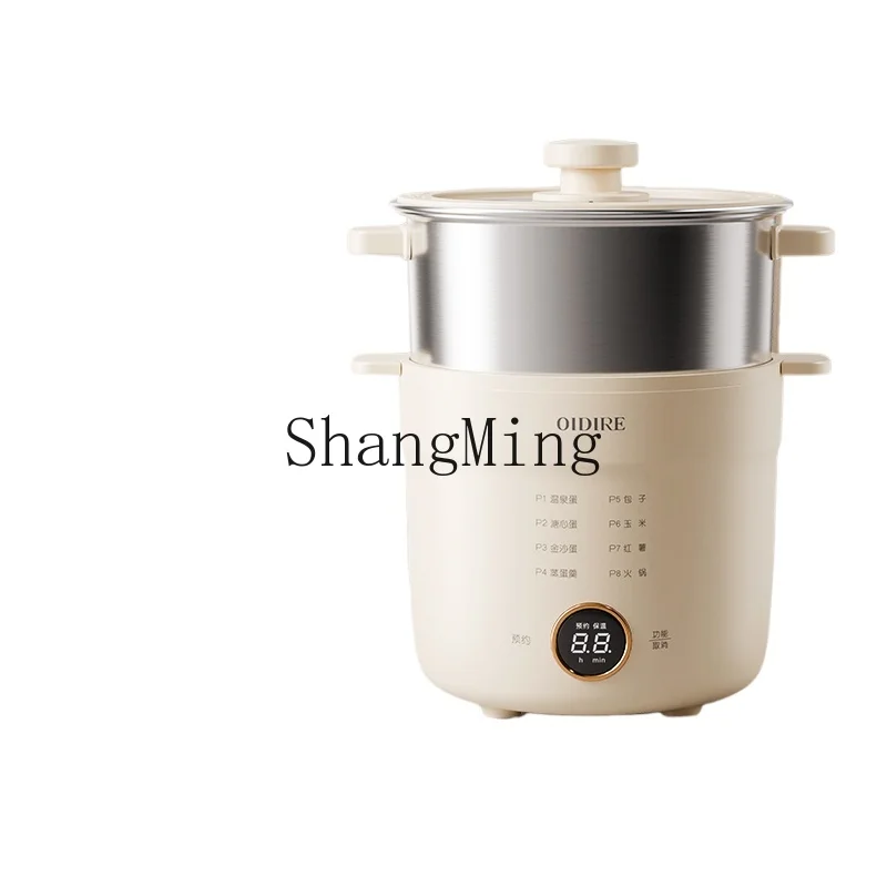 

ZYY automatic power-off household small multi-functional egg cooking machine artifact