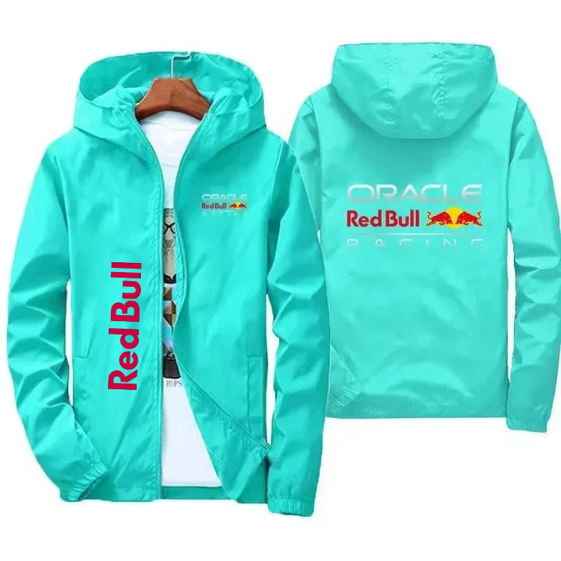 Рисунок 5 - 2025 Red Bull с логотипом гоночной команды