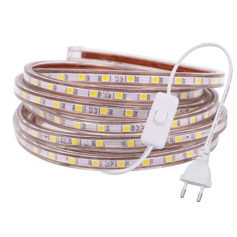 5050 SMD LED Light Strip 220V 110V Waterproof 60LEDs Flexible Tape Ribbon With ON/OFF Dimmer Switch Plug Waterproof Stripe Rope