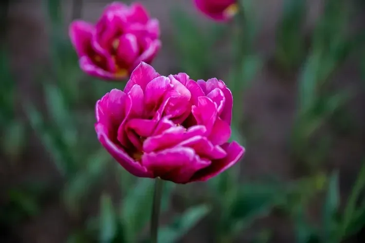 

Радиоуправляемая машинка WPL C54-1 (C54) LC80, полномасштабная имитация, с мотором 260, внедорожный краулер-монстр, WPL 4WD, подарок для детей