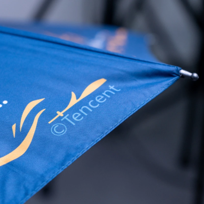 طائفة تانغ لا مثيل لها ، أرض المحاربين 2 ، قارة دولو ، منتجات أنيمي ، في جميع الأحوال الجوية ، Huoyuhao ، شخصيات كرتونية