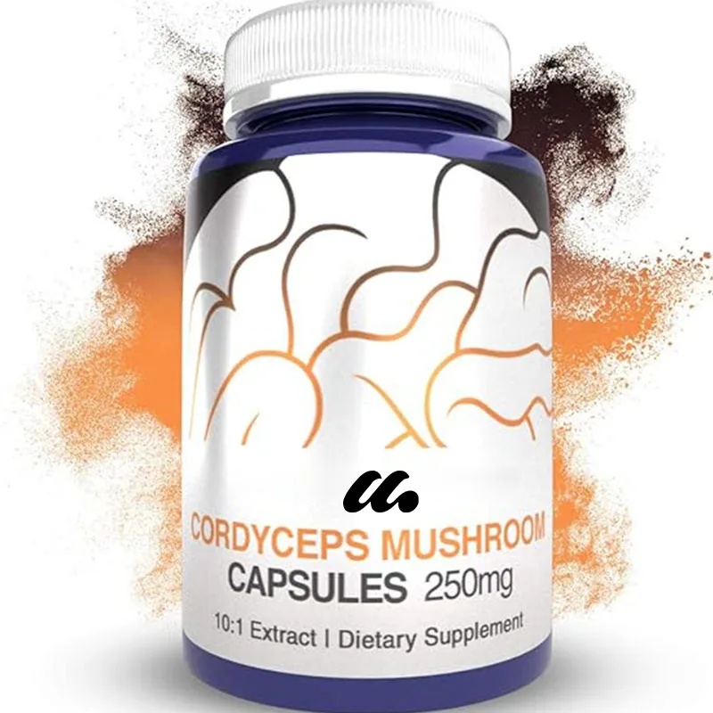 Cordyceps mushroom capsules | 10:1 whole fruit body extract | 250mg | 60 capsules