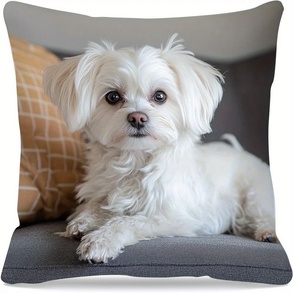 1pc Lying Maltese Themed Printed Throw Pillow Cover, Suitable for Sofa, Bedroom, Living Room, a Heartwarming Gift for Dog Lovers