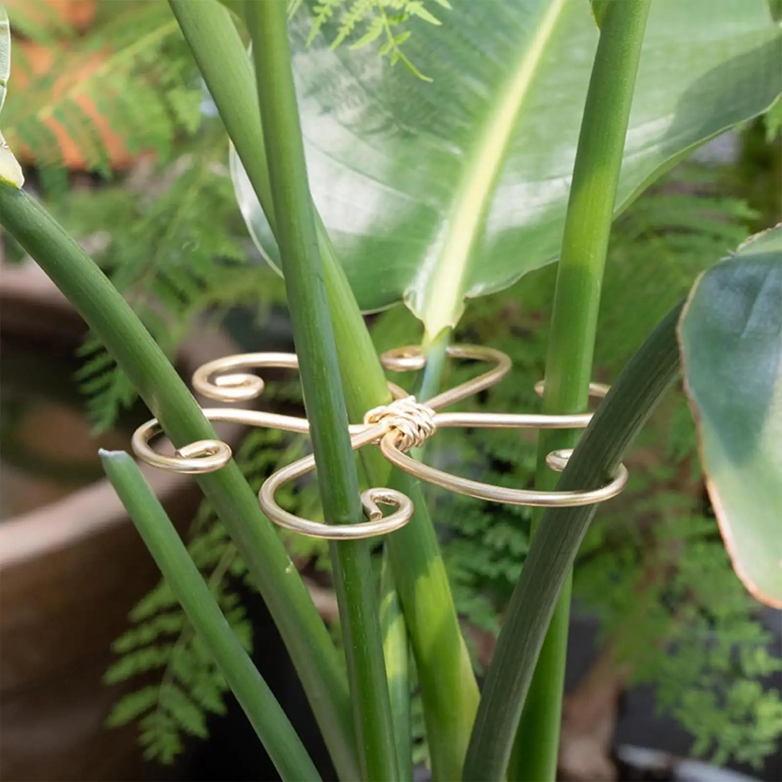 5 قطع من جذع النبات يدعم ملحقات جذع متسلقي النباتات