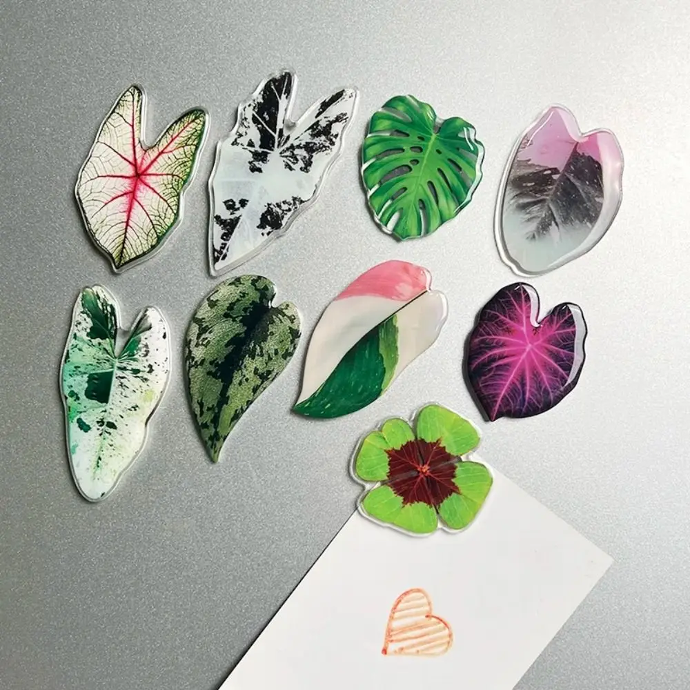 Lovely Green Plant Fridge Magnet Kitchen decoration Simulation Popular Magnets Sticker Acrylic Refrigerator Magnetic Tiles