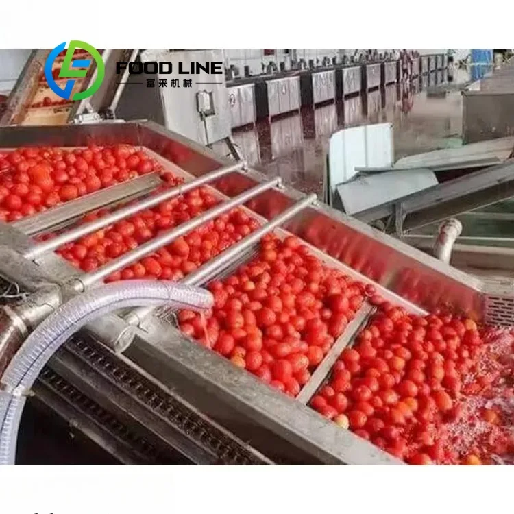 Tomato Concentrated Paste Production Line Professional Processing Line With Evaporator For High Viscosity Tomato Product