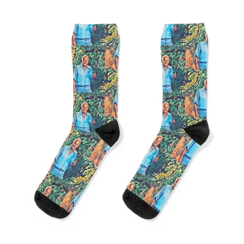 

Attenborough Socks funny gifts heated luxe new in's Men Socks Luxury Brand Women's