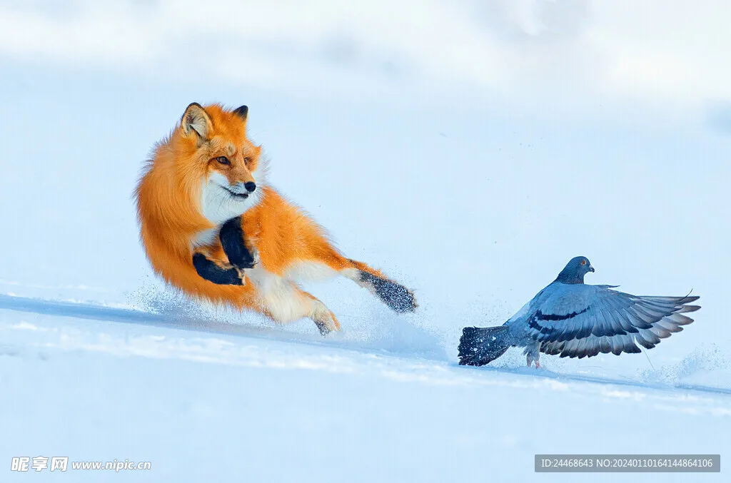 AFRC D1302 Субминиатюрный цифровой сервопривод 1,7 г без сердечника для радиоуправляемого самолета автомобиля 0,04ec Быстрый разъем JST или разъем JR для внутреннего 3D-флейга