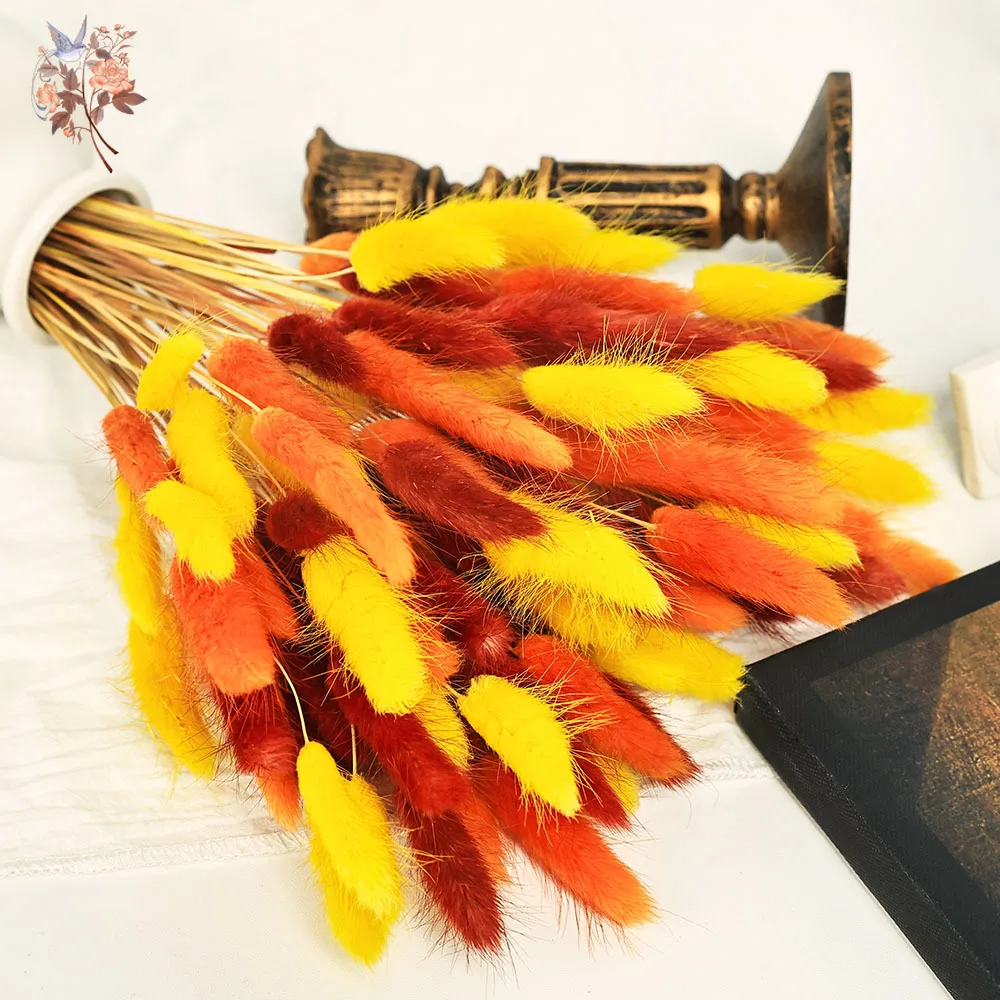 90 Stems Colorful Rabbit Tail Grass Natural Dried Flower Home Vase Decor for DIY Craft Lagurus Ovatus Plants Wedding Arrangement