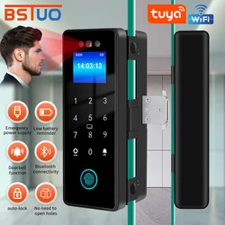 3D Face Tuya Wifi Electronic Smart Glass Door Lock With Biometric Fingerprint/RFID Card /Password Unlock/USB Emergency Charge