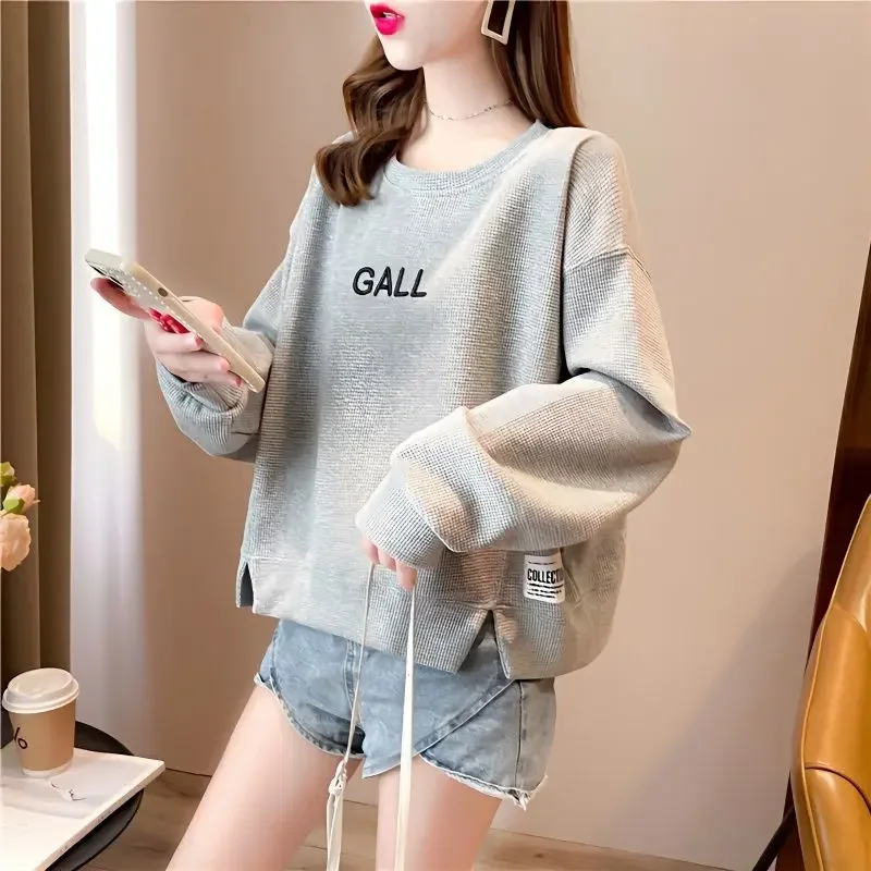 Women's hoodie 2024 new spring and autumn Korean version loose design sense long sleeved short top ins trend sweatshirt