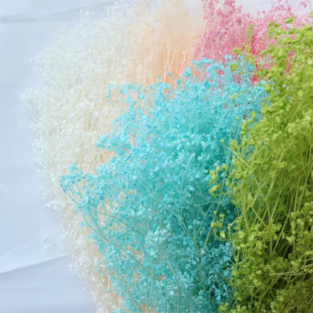 Bouquet di fiori secchi con foglie di rusco reali naturali, rami di eucalipto bianco per la decorazione della stanza di casa, decorazione della disposizione di nozze