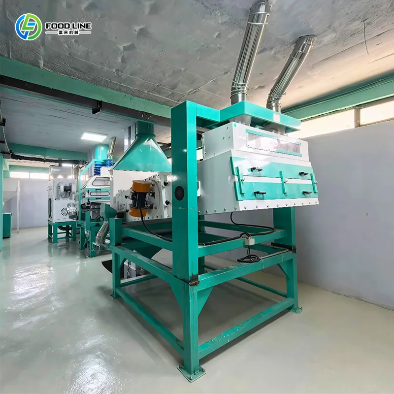 Customizable Coffee Beans Cleaning Drying Machine Mung Bean Sprout Cleaning Machine Coffee Bean Clean Processing Machinery