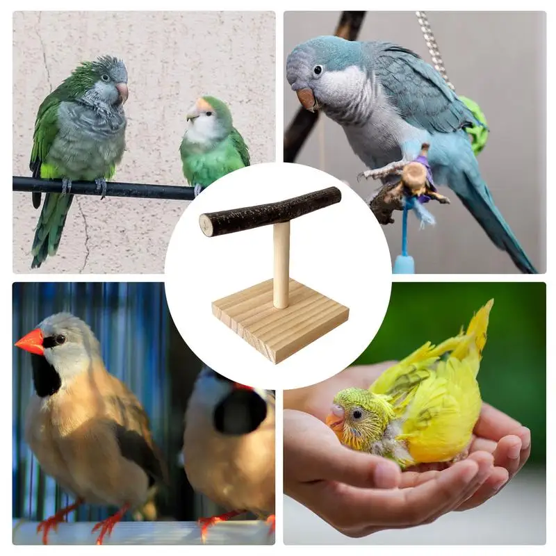 Wood Bird Training Perch T Stand, Papagaio Desktop, Finch Conures, Periquitos, Calopsitas, Quente