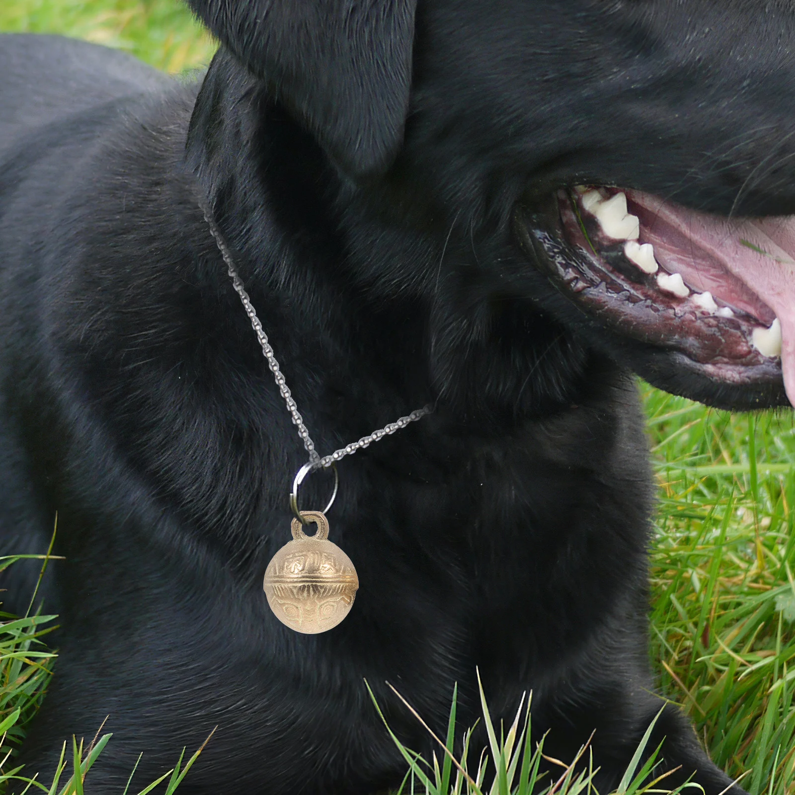 

2Pcs Copper Bells Pet Supplies Crisp Bright Sound Lightweight Suitable for Crafts Instruments Portable Bells Pet Ornaments