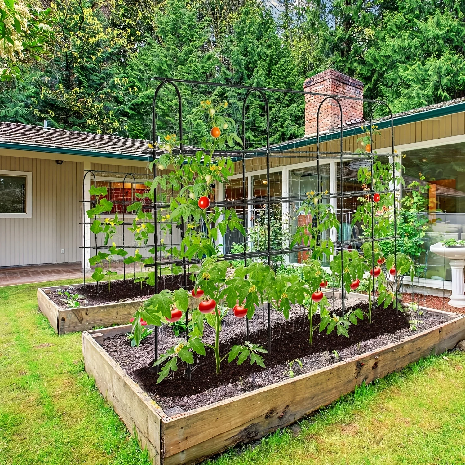 

70inch Garden Trellis, Cucumber Trellis, Plant vegetable climbing frame, cucumber trellis metal, Garden Tunnel Trellis