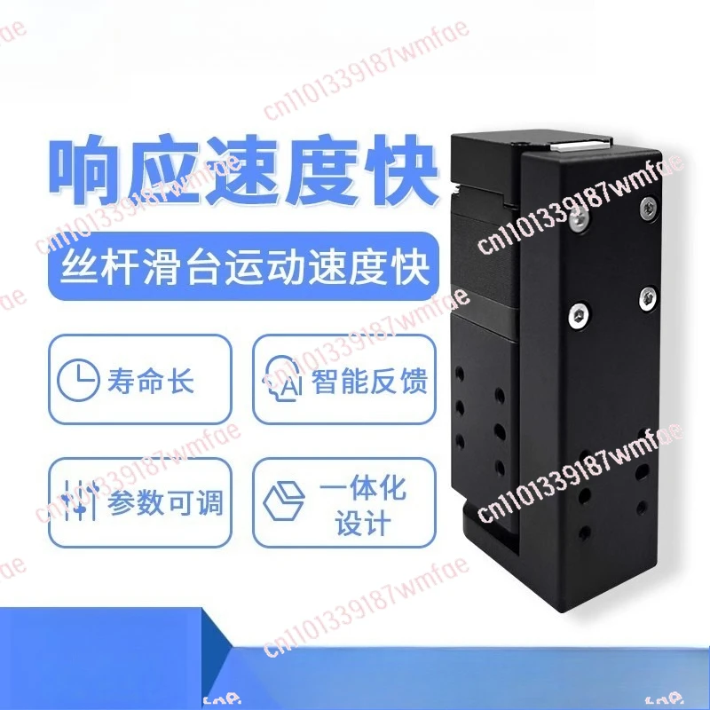 Miniature Stepping Slide Cylinder Module High Precision Ball Screw Electric Push Rod Platform