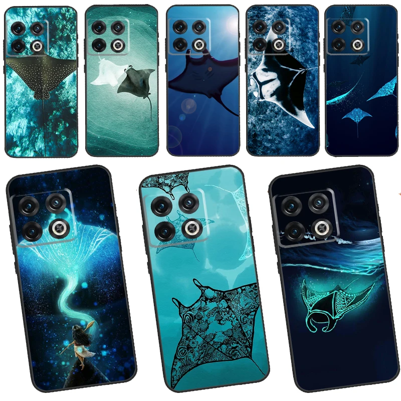 Animal Manta Ray Ca…