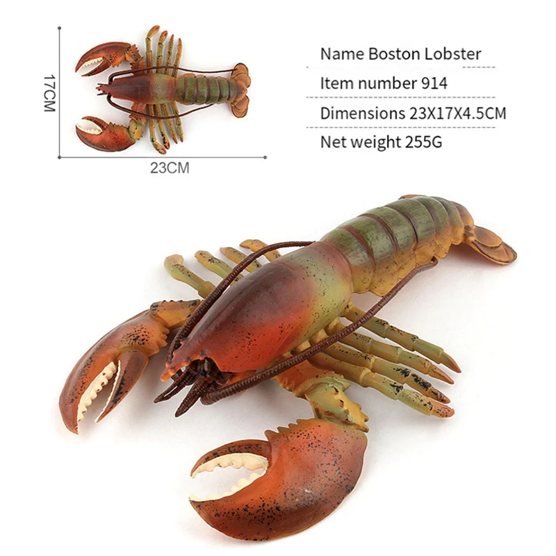 Realistic Marine Simulation Lobsters Model Australian Lobster Boston Lobster Action Figures Toy For Kid Gift