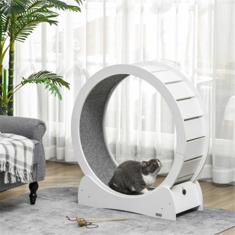 

Cat Tree, 2025 year