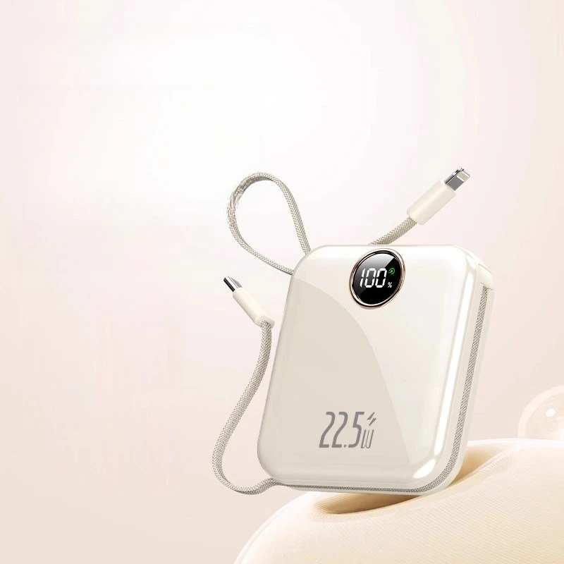 10000mAh Power Bank with Built-in Dual-line Fast Charging Function