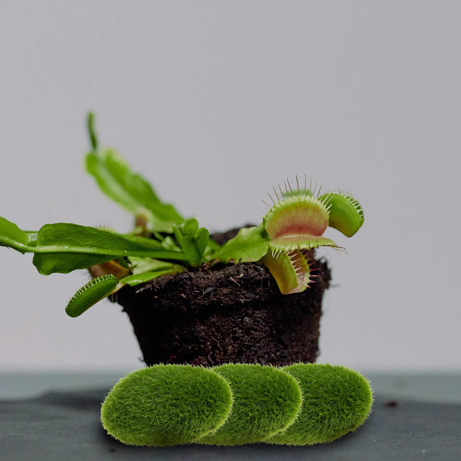 

30Pcs Artificial Moss Stones Simulated Mossy Stone Decorations for Plant Walls Potted Bonsai Garden Fake Stone Ornaments