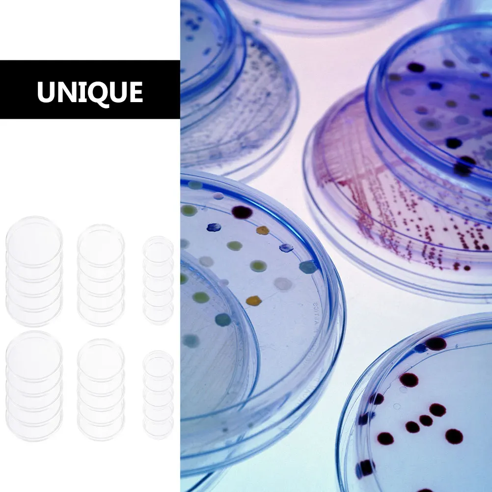 

30Pcs Sterile Plastic Petri Dishes for Bacteria Culture Transparent Lids Easy Transport Laboratory Biological Tissue Culture
