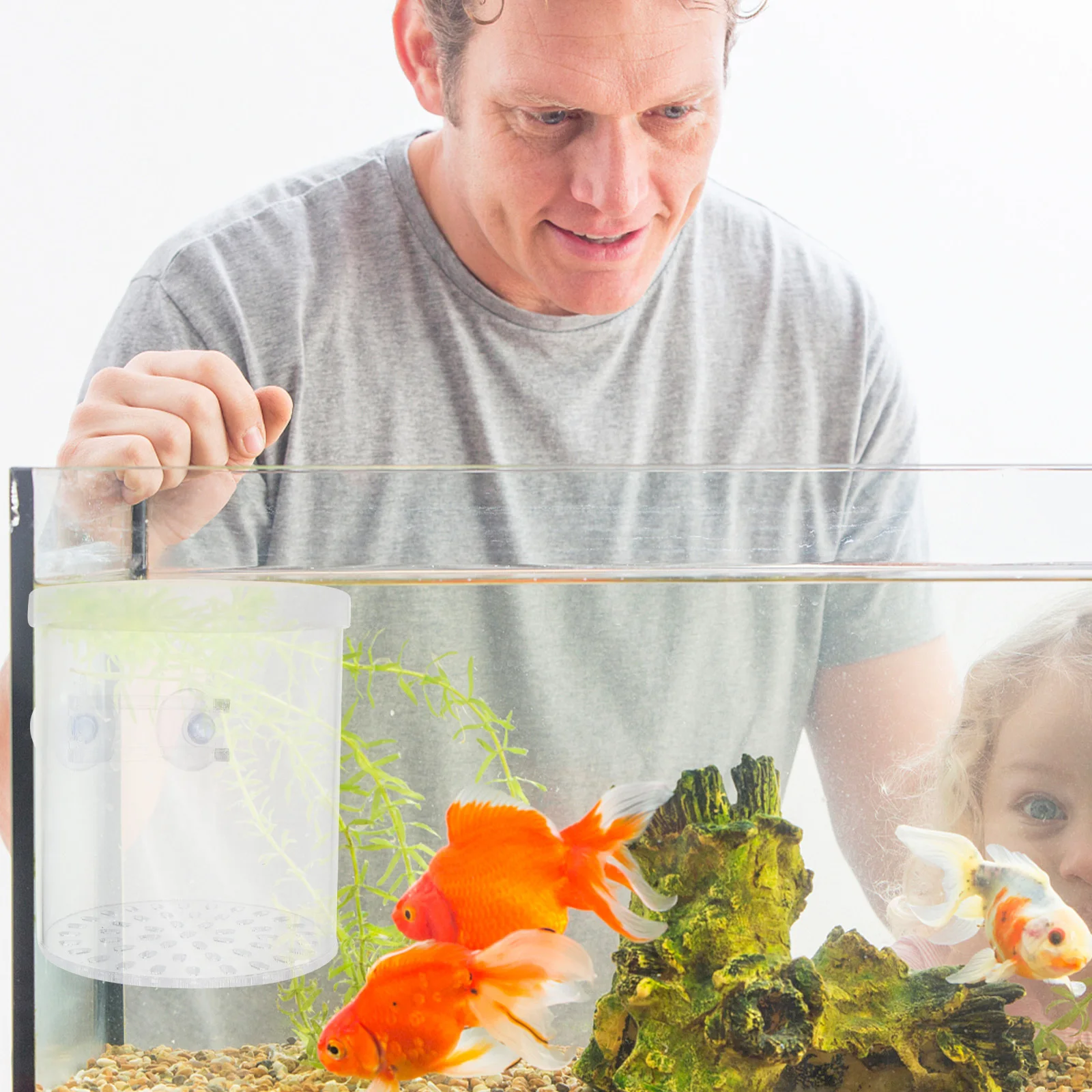 

Acrylic Fish Breeding Box Transparent Aquarium Fry Hatching Isolation Tank For Guppy Safe Eco-Friendly Durable Sturdy Container