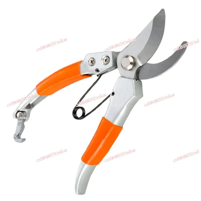 

Horticultural Pruning with New Fruit Tree Pruning Techniques